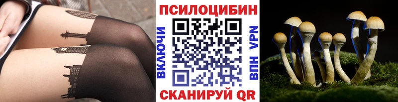 Псилоцибиновые грибы GOLDEN TEACHER  Тавда 