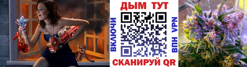 Шишки марихуана SATIVA & INDICA  где продают   Тавда 
